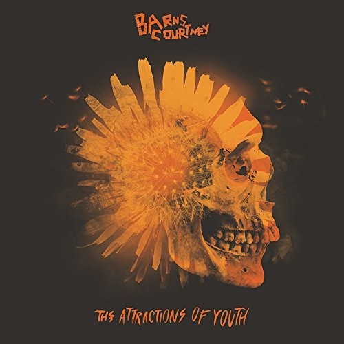 Barns Courtney - The Attractions Of Youth (Picture Disc Vinyl) ((Vinyl))