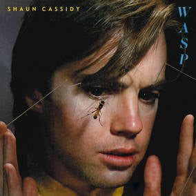 Cassidy, Shaun - WASP (())