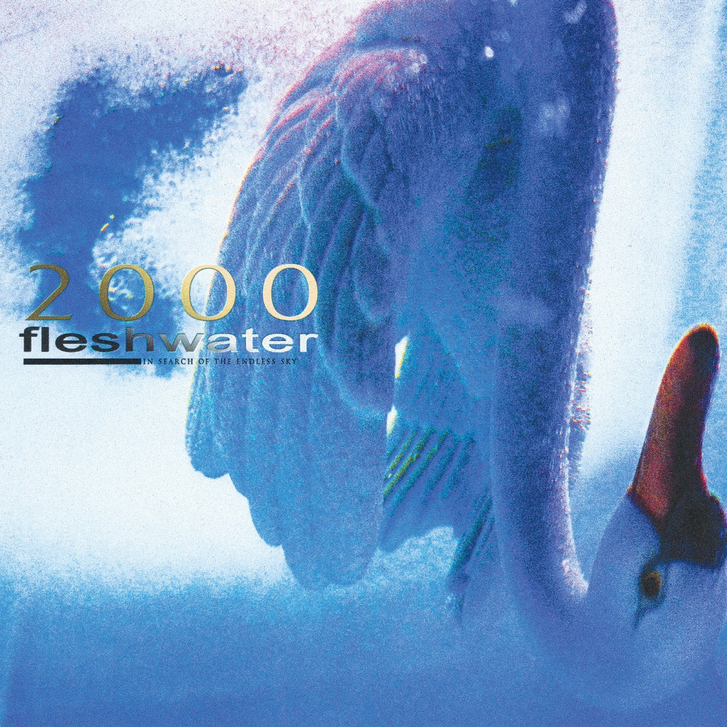 Fleshwater - 2000: In Search Of The Endless Sky (Indie Exclusive Fluorescent Pink Vinyl) ((Vinyl))