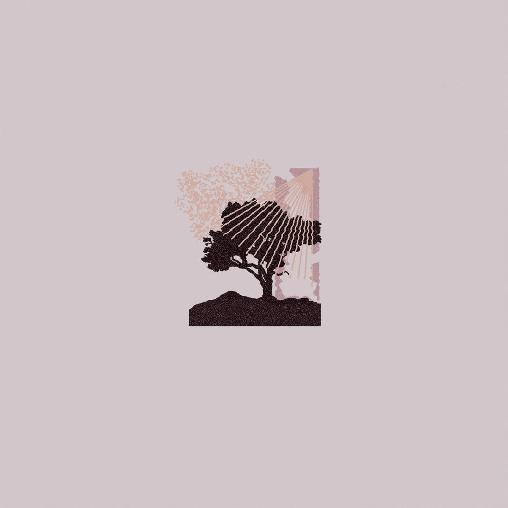 Land of Talk - Performances (ECOMIX VINYL) ((Vinyl))
