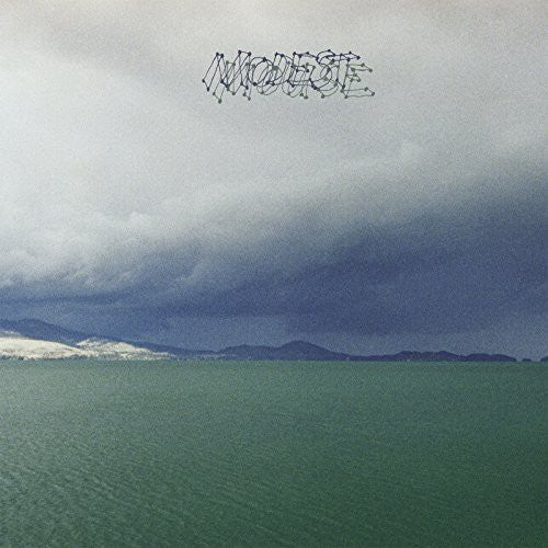 Modest Mouse - The Fruit That Ate Itself ((Vinyl))