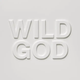 Nick Cave & the Bad Seeds - Wild God (Clear Colored Vinyl) ((Vinyl))