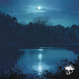 Planes Mistaken for Stars - Do You Still Love Me? (Transparent Ice Blue Colored Vinyl) ((Vinyl))