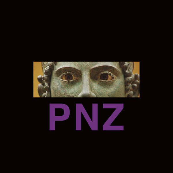 POTTER NATALIZIA ZEN - Shut Your Eyes On The Way Out ((Vinyl))