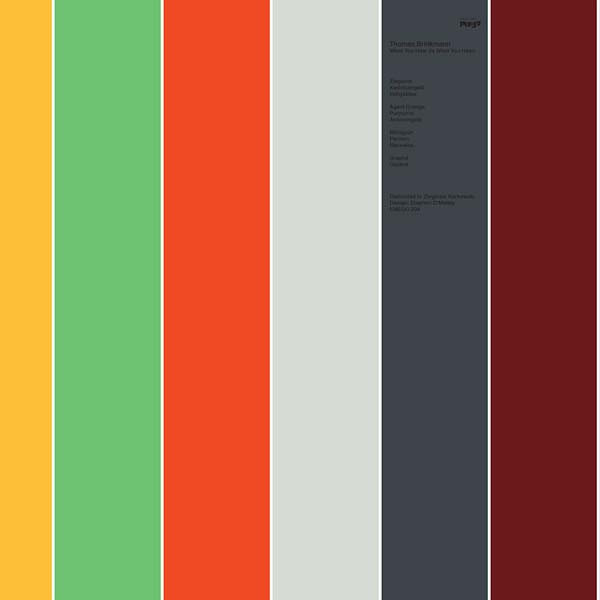 THOMAS BRINKMANN - What You Hear (Is What You Hear) ((Vinyl))