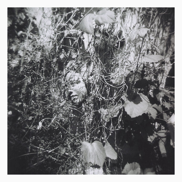 TIM MISLOCK - Now Is The Last Best Time ((Vinyl))