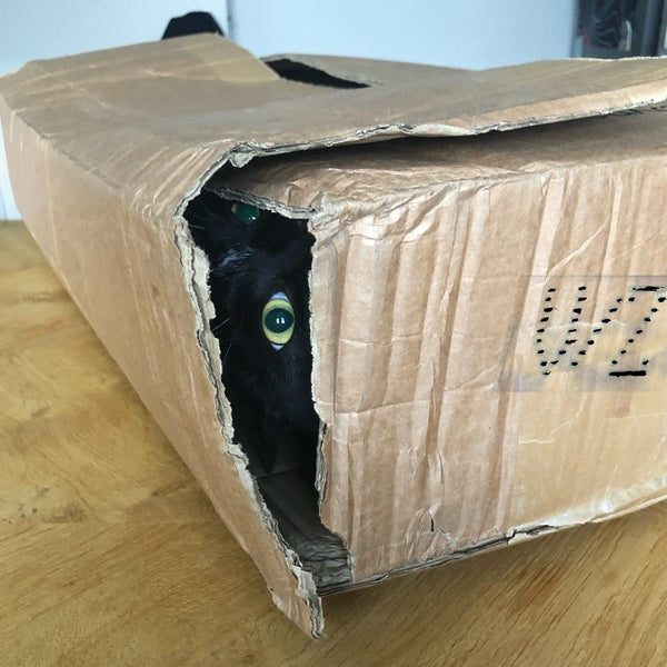 V/Z - Suono Assente ((Vinyl))