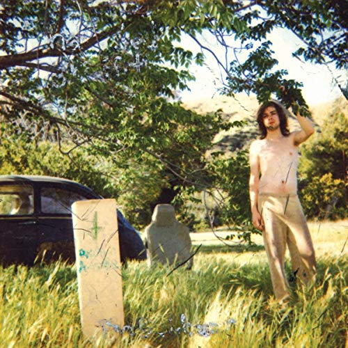 Ariel Pink - The Doldrums [2 LP] [Remastered] ((Vinyl))