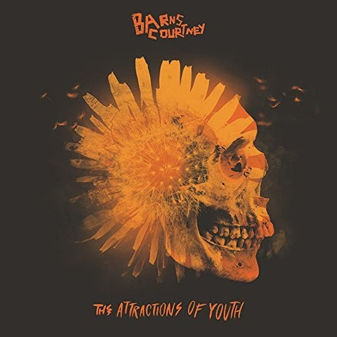 Barns Courtney - The Attractions Of Youth (Picture Disc Vinyl) ((Vinyl))