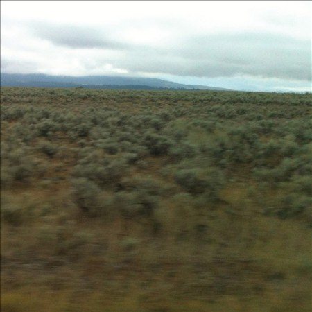 Caroline Says - 50,000,000 ELVIS FANS CAN'T BE WRONG ((Vinyl))