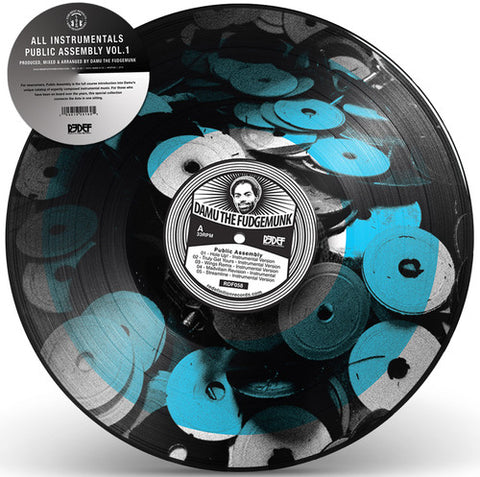 Damu the Fudgemunk - Public Assembly (Picture Disc Vinyl LP) ((Vinyl))