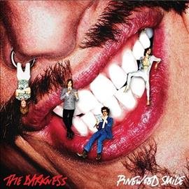 Darkness - PINEWOOD SMILE ((Vinyl))