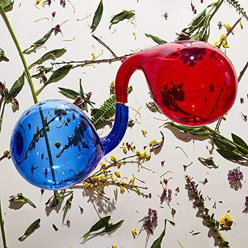 Dirty Projectors - Lamp Lit Prose (Colored Vinyl) (Indie Exclusive) ((Vinyl))