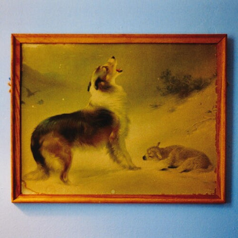 Explosions in the Sky - The Rescue (Remastered, Anniversary Edition) ((Vinyl))
