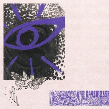 Hippo Campus - LP3 ((Cassette))