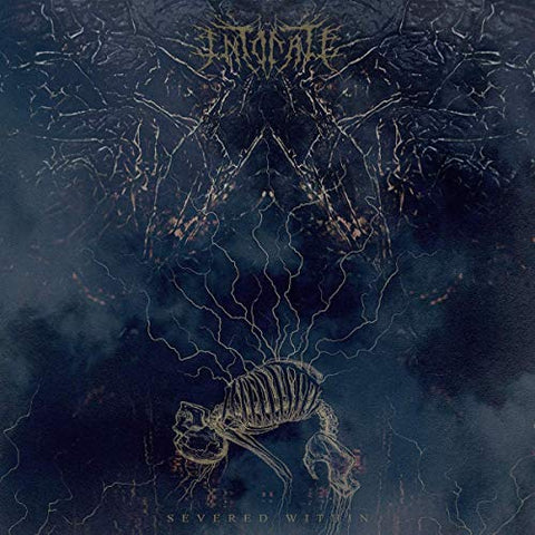 Intonate - Severed WIthin [Random Mixed Color LP] ((Vinyl))