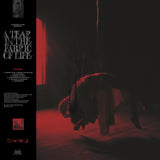Knocked Loose - A Tear In The Fabric Of Life (Colored Vinyl, Blood Red W/ Black Splatter, Indie Exclusive) ((Vinyl))
