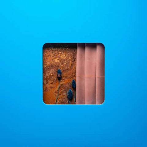 MODERN ERROR - VICTIM OF A MODERN AGE ((Vinyl))