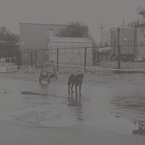 NIVHEK - After its own death / Walking in a spiral towards the house ((Vinyl))