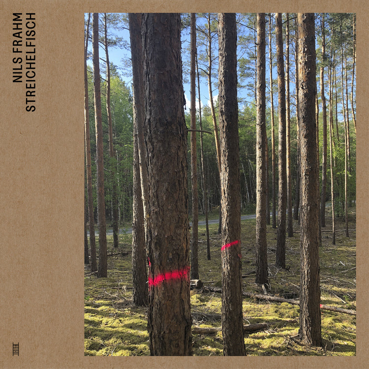 Nils Frahm - Streichelfisch ((Vinyl))