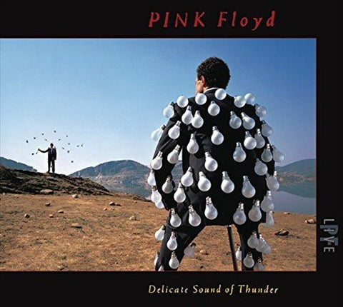 Pink Floyd - DELICATE SOUND OF THUNDER (LIVE) ((Vinyl))
