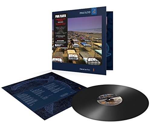 Pink Floyd - Pink Floyd - Momentary Lapse Of Reason (2011 Remastered) LP (())