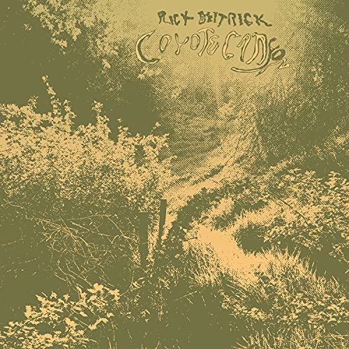 Rick Deitrick - Coyote Canyon [LP] ((Vinyl))