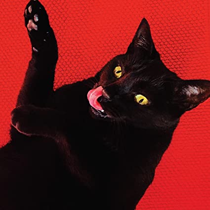 Ryan Adams - Big Colors (Red Vinyl with Bonus 7") [Explicit Content] ((Vinyl))