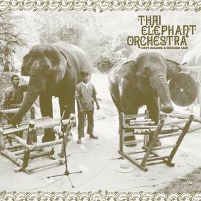 Thai Elephant Orchestra - Thai Elephant Orchestra ((Vinyl))