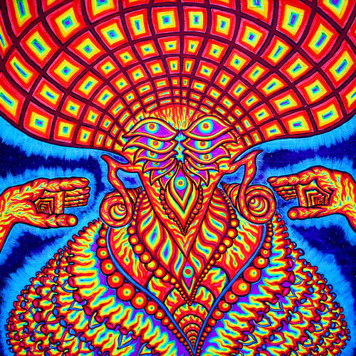 The Dream Syndicate - The Universe Inside (Black Vinyl) ((Vinyl))