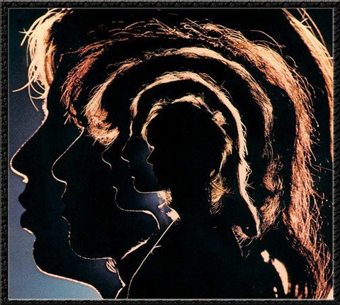 The Rolling Stones - Hot Rocks 1964-1971 ((Vinyl))