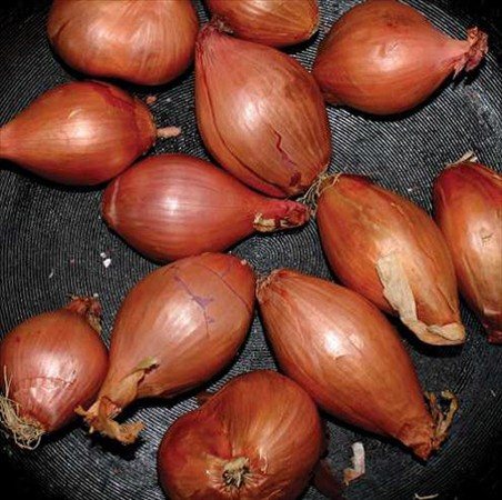 Ty Segall - FRIED SHALLOTS ((Vinyl))