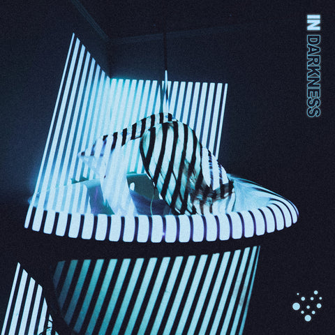 Varials - In Darkness ((Vinyl))