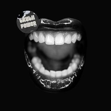 Various Artists - The Truth To Power Project ((Vinyl))