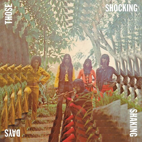 Various Artists - Those Shocking Shaking Days (2 LP) ((Vinyl))