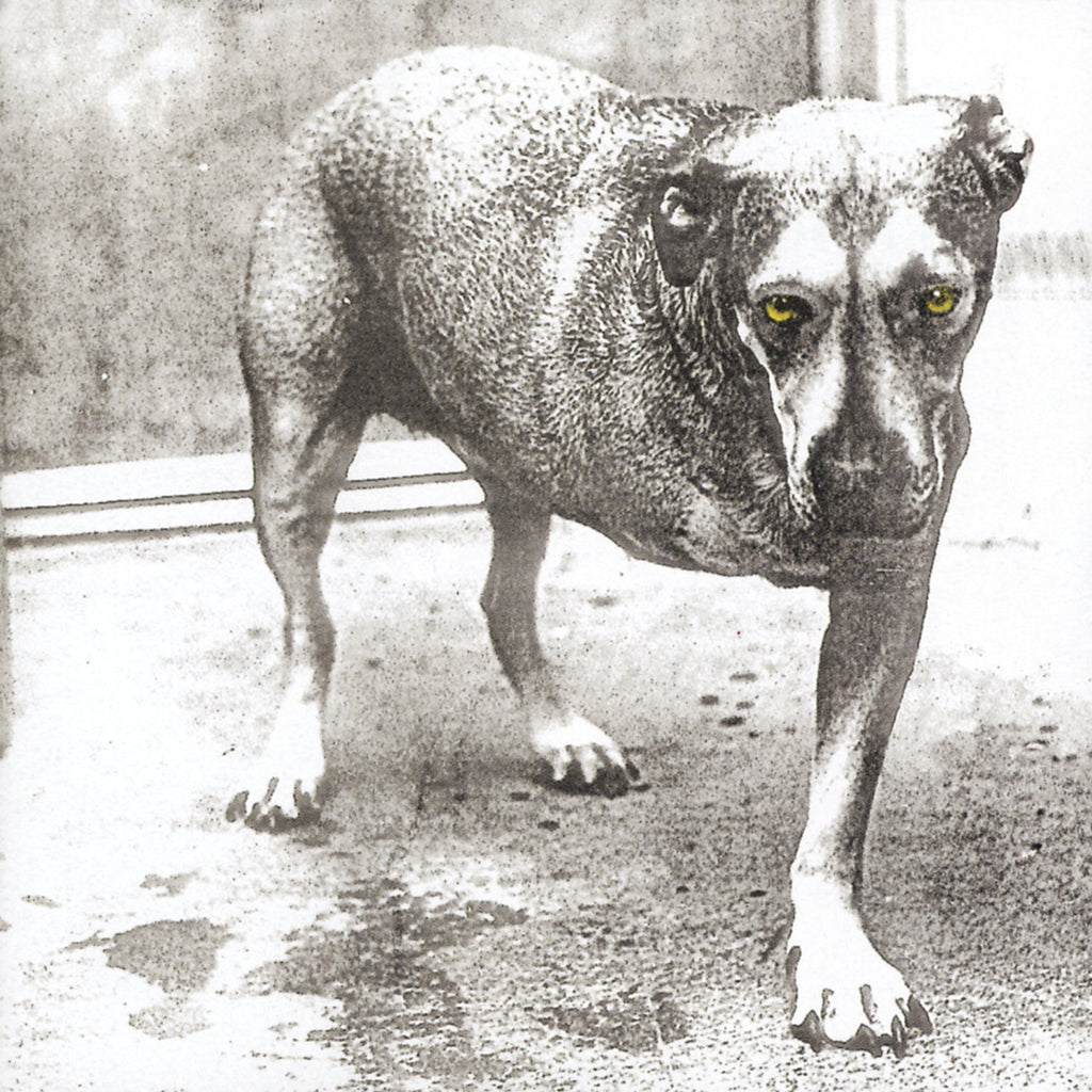 Alice In Chains - Alice In Chains (30th Anniversary Reissue) [Color Vinyl] [2LP] ((Vinyl))