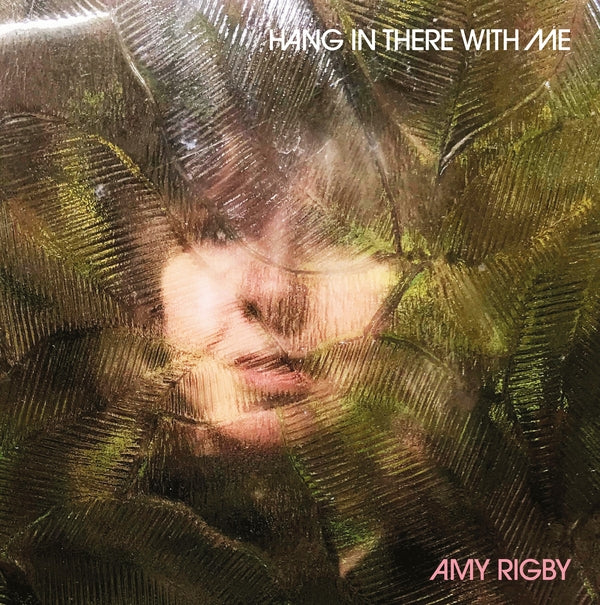 Amy Rigby - Hang In There With Me ((Vinyl))