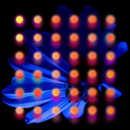 Anberlin - Nevertake ((Vinyl))