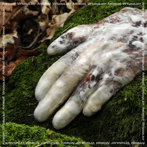 Antwood - Virtuous.scr ((CD))