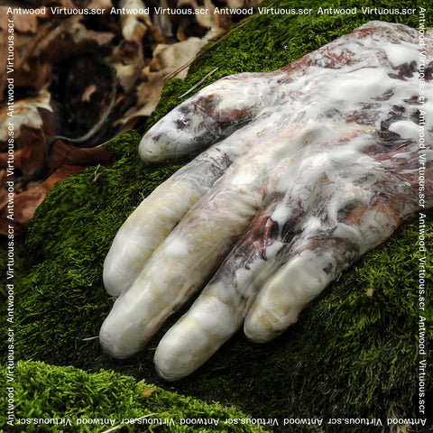 Antwood - Virtuous.scr ((Vinyl))