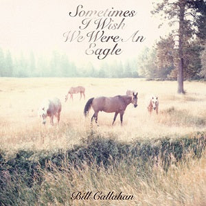 Bill Callahan - Sometimes I Wish We Were an Eagle ((Vinyl))