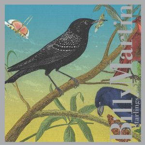 Billy Martin - Starlings ((CD))