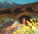 Brittany Howard - What Now ((CD))