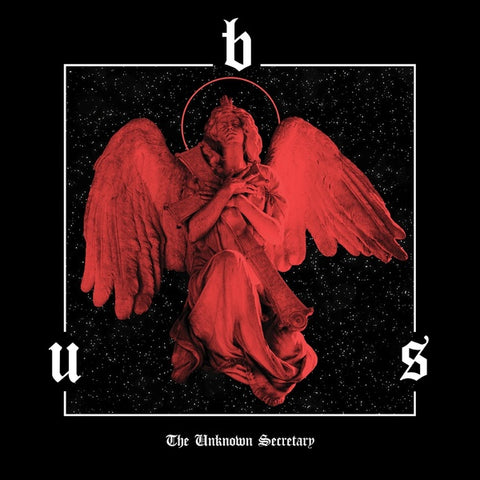 B.U.S. - The Unknown Secretary ((Vinyl))