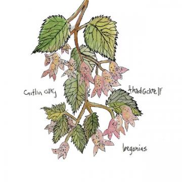 Caitlin and Thad Cockrell Cary - Begonias ((CD))