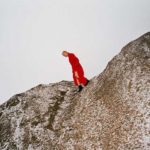 Cate Le Bon - Reward ((Vinyl))