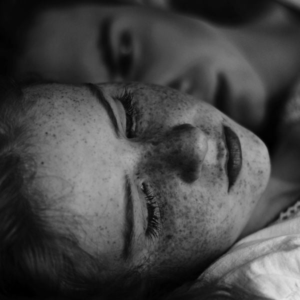 Celeste - Animale(s) ((Metal))