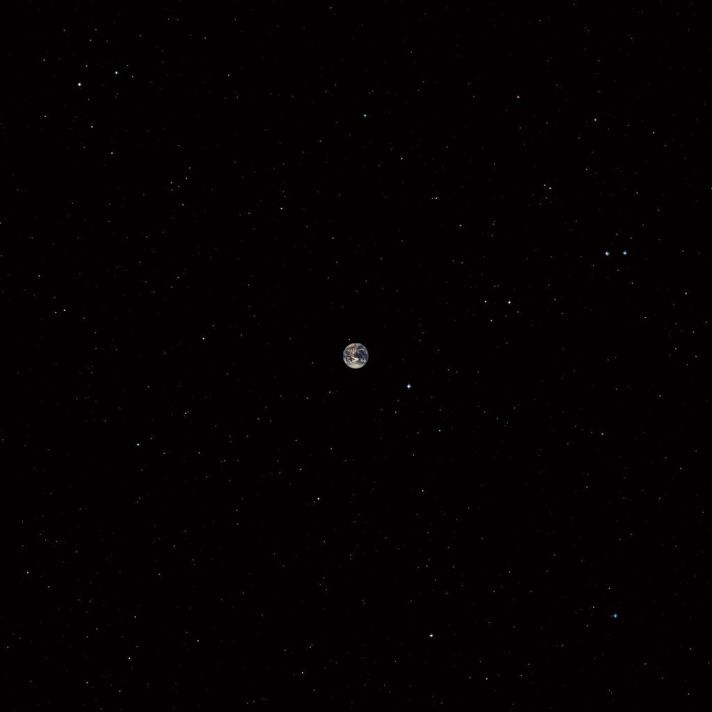 Ceramic Dog - Hope ((CD))