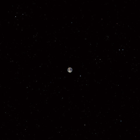 Ceramic Dog - Hope ((CD))