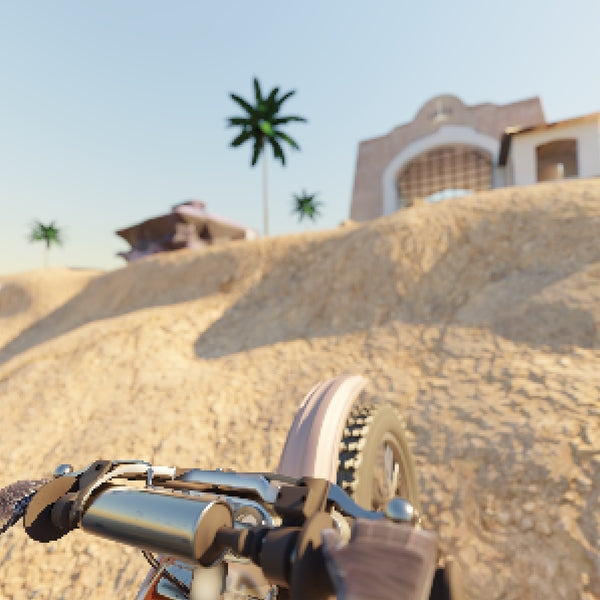 Charles "Poppy Bob" Walker - Dirt Bike Vacation ((Vinyl))